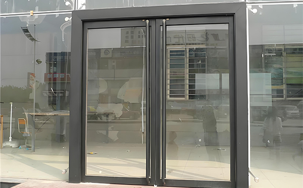 新城镇玻璃地弹门